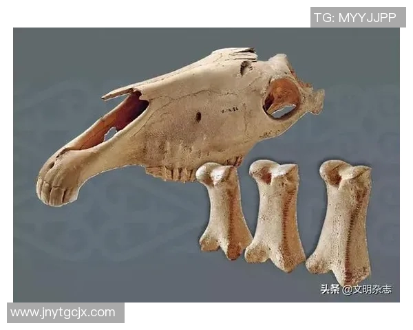 足球运动的起源探秘及其与古代文明的关系分析 足球运动的起源探秘及其与古代文明的关系分析